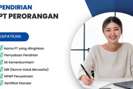 jasa pengurusan PT perorangan