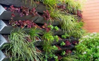 vertical garden