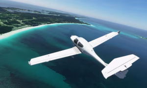 Microsoft Flight Simulator