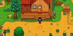 Stardew Valley